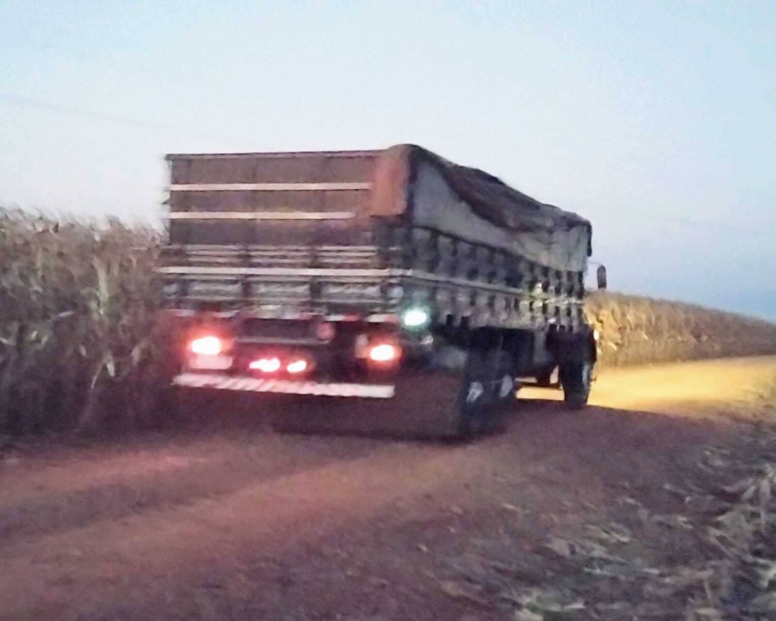 Caminhão trasportando milho